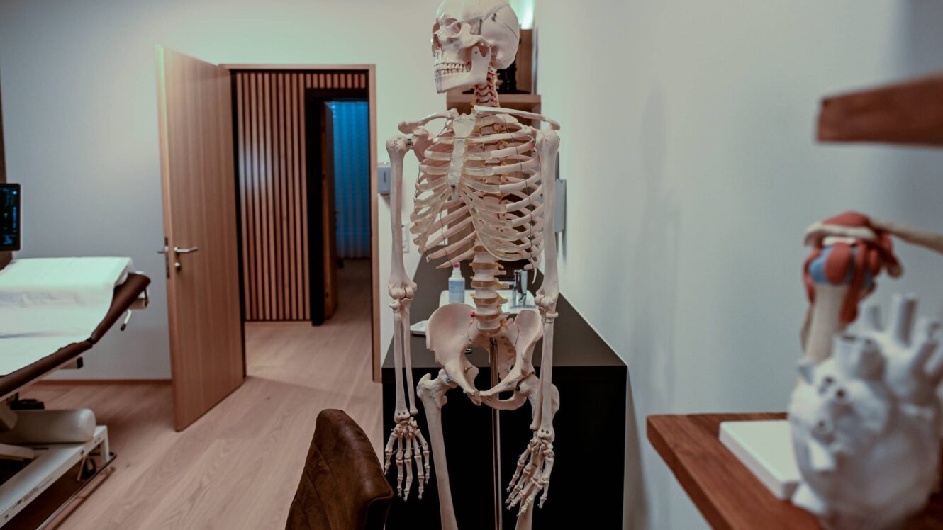 Sprechzimmer Skelett