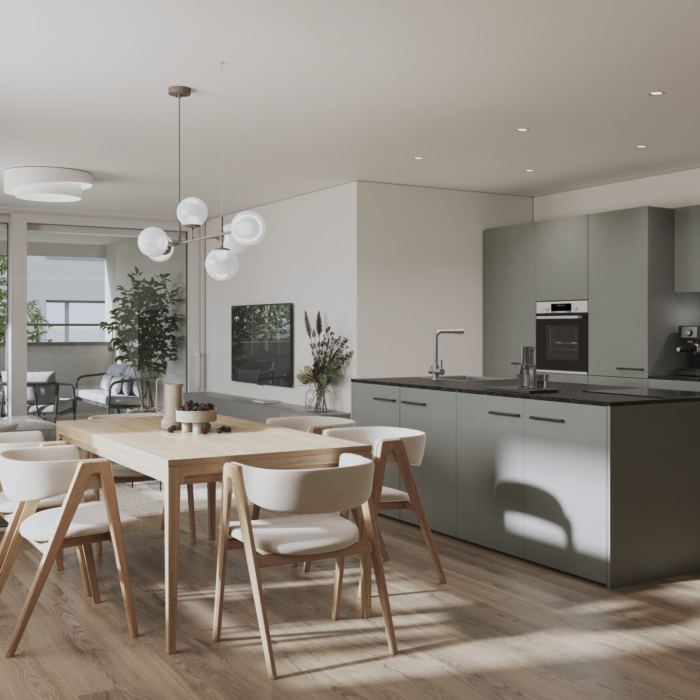 5 MFH Bäckerweg 2+4 Widnau LIVING B SYMMETRY Cam001 2025 05 05 Po (2)