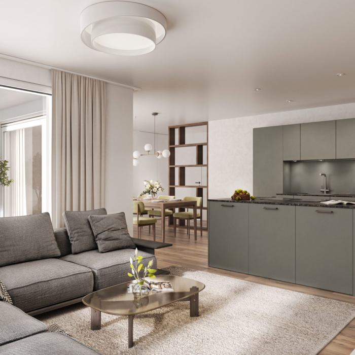 5 MFH Bäckerweg 2+4 Widnau LIVING B4 Cam001 2025 05 06 Po 4k
